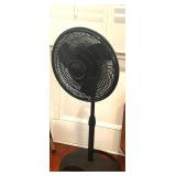 BLACK OSCILLATING STANDING FAN