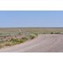 Scenic Arizona 40+ Acres in Navajo County with Direct Road Frontage
