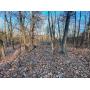 13 Acres of Wooded Land in Boone County, Missouri