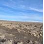 Residential Real Estate Auctions in Nevada