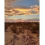 Residential Real Estate Auctions in Arizona