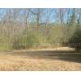 Vacant, Residential Lot in Mount Olive, Alabama