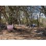 Land Parcels Auctions in California