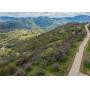 Residential Real Estate Auctions in California