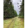 29.52 Acre Gravel Pit (Inactive) in Quilcene, Washington