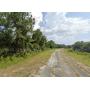 Vacant, Residential Land Parcels in Florida