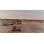 Residential Land Parcel Auctions in California