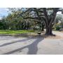 Residential Land Parcel Auctions in Florida