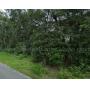Residential Property Auctions in Florida - Vacant Lots