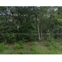 Vacant, Residential Lots for Auction in Florida