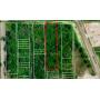 (1.56 Acres) 21-Adjacent City-Lots about 6.9 Miles from Downtown St. Louis