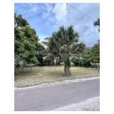 Residential Double Lot in Tampa, Florida
