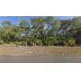 Undeveloped, Residential Lots for Auction in Florida