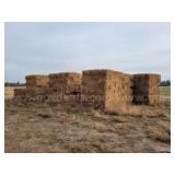 Orchard Grass Hay - 3-String Hay Bales 