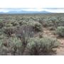 Big 13.84 Acre Lot in Rio Arriba County, New Mexico