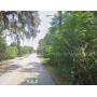 Vacant, Residential Parcel Auctions in Florida