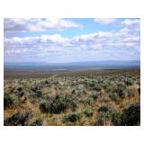 80 Acres of Oregon Outback with Wide Open Vistas