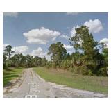 Undeveloped, Residential Lots for Auction in Florida