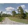 Undeveloped, Residential Lots for Auction in Florida