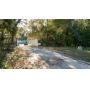 Vacant Half-Acre in a Cul de Sac in Crystal River, FL
