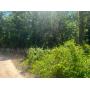 Vacant Two-Family Residential Lot in Ocala, FL