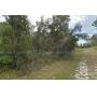 Vacant Residential Acre in Webster, FL