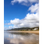 1.03 Acres Residential Forestland Arch Cape, OR (AC-RCR)