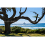 0.23 Acres Residential Forestland Arch Cape, OR (AC-RCR)