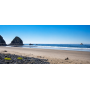 Residential Forestland Arch Cape, OR - 4 Lots 0.11 - 0.12 Acres