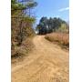 10.34-/+ Acres with Clear Title in Alcorn County, Mississippi