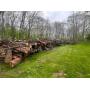 Lot of Various Sized Logs