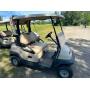 31 Lots - Variety of Golf Carts