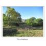 2 Acres on Ammann Rd, Bulverde, Texas