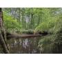 Prime Waterfront Fixer-Upper on Rancocas Creek - New Jersey