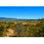 9.06 Acres at the Base of Cahuilla Mountain - Your Private Escape in Anza, CA