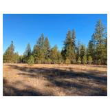 Two Parcels Approx. 11 Acres - Drumheller Pit, Washington