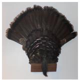 HALL Turkey Fan Mount 28' Tall 27' Wide NO SHIPPIN
