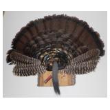 DR Turkey Fan Mount NO SHIPPING
