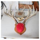 J 3 Antler Mounts NO SHIPPING