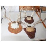 J 3 Antler Mounts NO SHIPPING