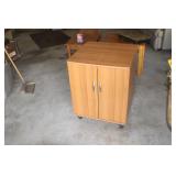 HG- 29x23x23 2-Door Rolling Cabinet NO SHIPPING
