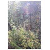 GS Outdoor Windmill Buyer to Take Down Approx 8'