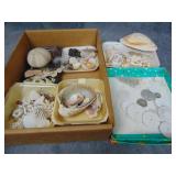 VTG Sea Shells