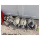 Flock of Duck Decoys