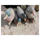 Flock of Duck Decoys