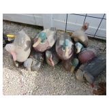 Flock of Duck Decoys