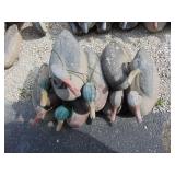 Flock of Duck Decoys