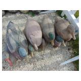 Flock of Duck Decoys