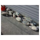 Flock of Duck Decoys