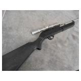 Pellet / BB Rifle, works